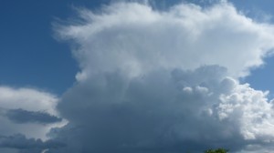 Cumulonimbus