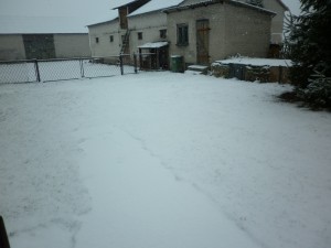 Dzisiejszy opad śniegu na Lubelszczyźnie (fot. Przemek Mańko)