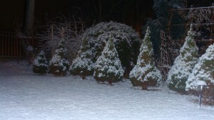 Śnieg w okolicach Kielc (fot. Marlena Cymerys, 6.12.2011)