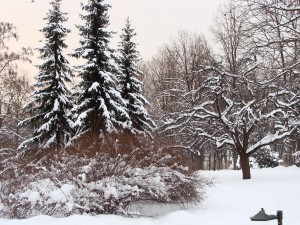 Zimowy krajobraz (fot. A. Surowiecki)