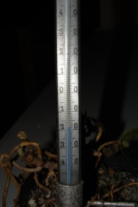 Bardzo niska temperatura (fot. A. Surowiecki)
