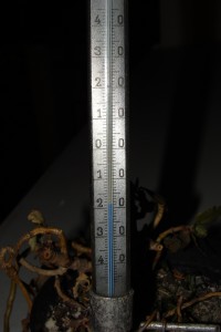 Bardzo niska temperatura (fot. A. Surowiecki)