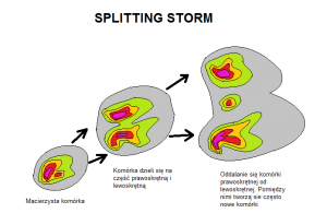 Schemat przedstawiający rozwój układu splitting storm (supercells)