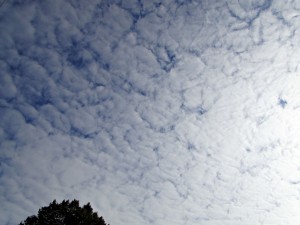 Chmura stratocumulus stratiformis jest typowym przedstawicielem chmur kłębiasto-warstwowych (fot. Jan Jakóbczak)