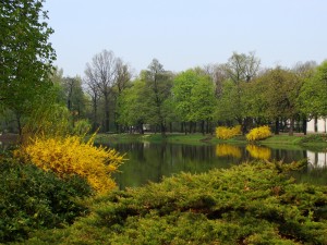 O pięknej wiośnie musimy póki co zapomnieć (fot. A. Surowiecki)