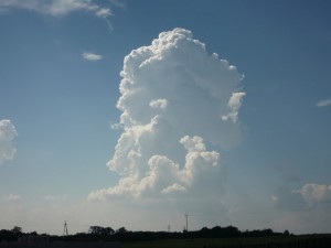 Cumulus congestus (fot. Krzysztof Ostrowski)