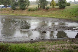 Port Czerniakowski w Warszawie praktycznie wysechł (fot. A. Surowiecki)