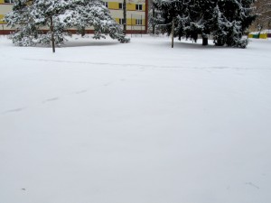 Zima w Zielonce koło Warszawy (fot. Grzegorz Zawiślak)