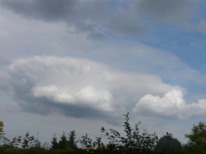 Cumulus ze spłaszczonym wierzchołkiem (fot Damian Zbieg)