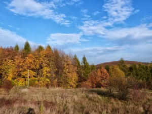 Złota jesień w Tyńcu (fot. S. Kupczyk)