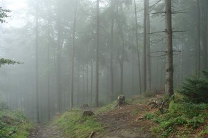 Mgła na Mogielicy (Fot. Artur Surowiecki)