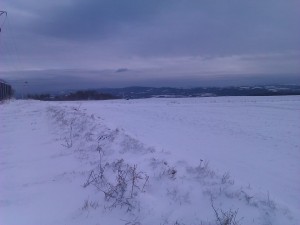 Powiew zimy na wysokości 480 m n.p.m. w Lichwinie (Fot. Piotr Żurowski)