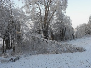 Okiść lodowa (fot. Rafał Dzik)