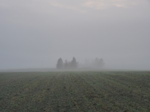 Mgła radiacyjna (fot. Igor Laskowski)