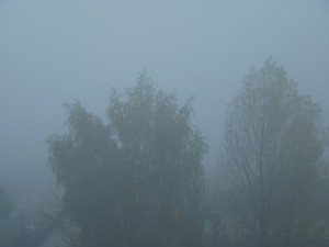 Mgła adwekcyjna (fot. Igor Laskowski)