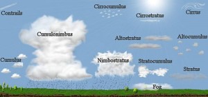 Rodzaje chmur (źródło: oldweather.org)