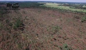 Rozległe szkody w lasach niedaleko Paradyża. Fot. Drone Vision