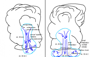 Obrazek ilustrujący mechanizm powstawania zjawiska downburst (autor: Artur Surowiecki)