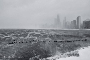 Chicago w śniegu